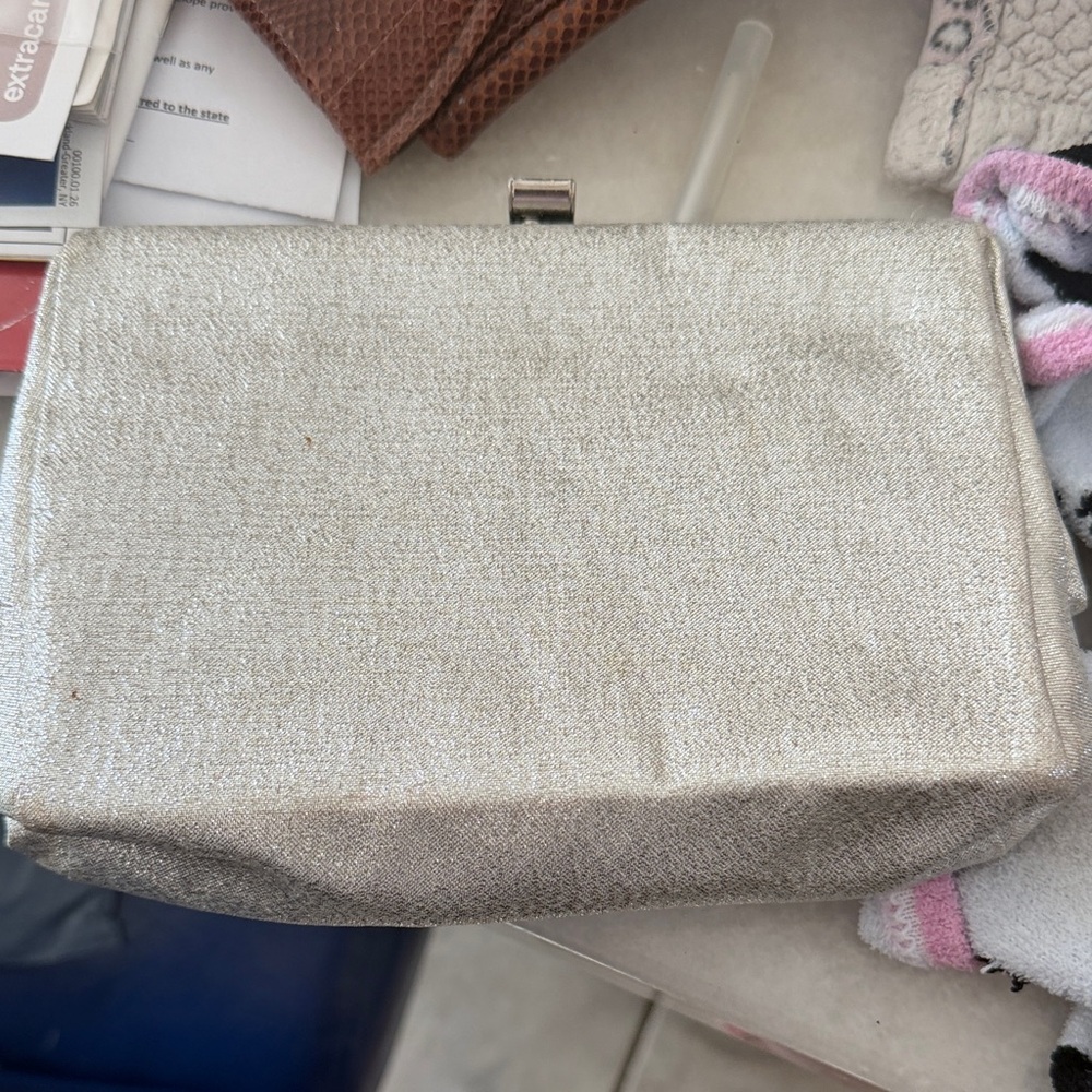 Elegant Silver Clutch for Women
